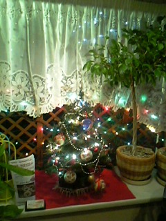 f0073958_21285876.jpg