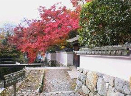 京の紅葉_a0057559_16482566.jpg