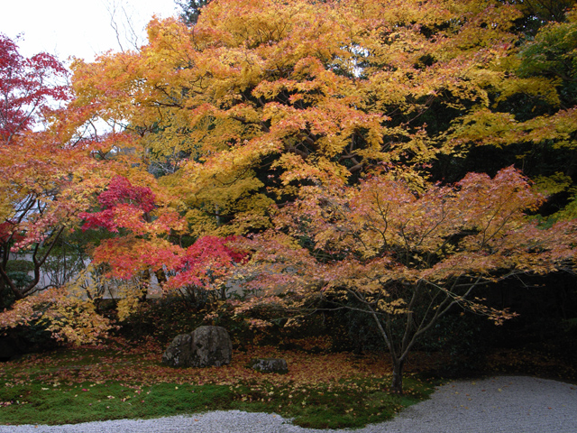 南禅寺_f0080267_2335153.jpg