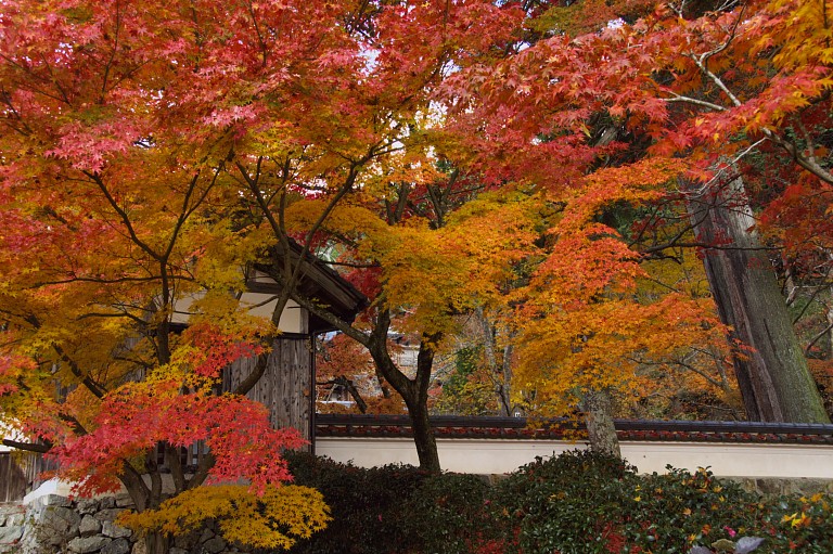 紅葉石龕寺（兵庫）20061128_a0050572_23305855.jpg