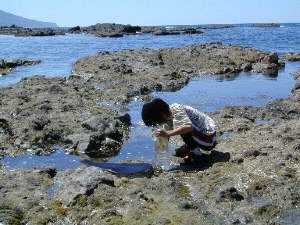 本当に心配な子どもの環境_b0068572_22101920.jpg