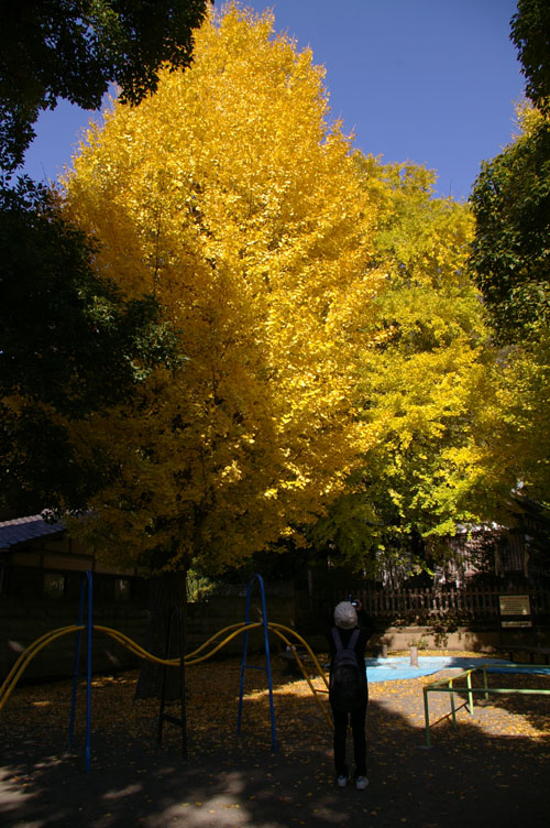 f0063686_2012599.jpg