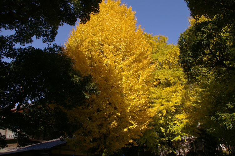 f0063686_22324315.jpg