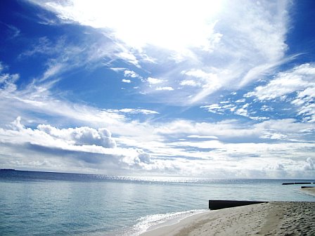e0025789_1619379.jpg
