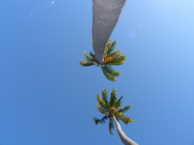 c0097095_1591226.jpg