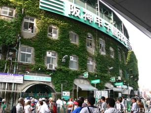 甲子園のツタ 渡り鳥のスポーツ日記 甲子園のツタ 渡り鳥のスポーツ日記