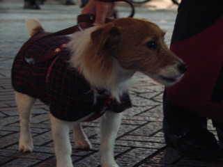 f0080105_1162264.jpg