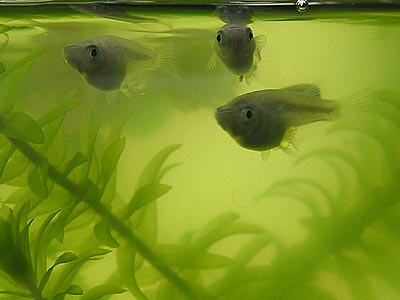a0041508_2356417.jpg
