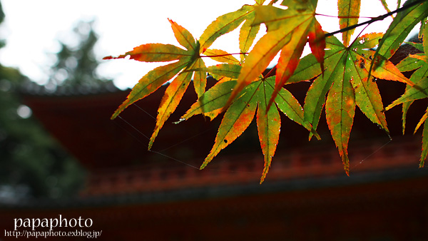 f0041908_2364761.jpg