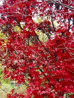 b0077010_18383786.jpg