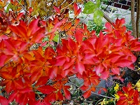 b0077010_19291636.jpg