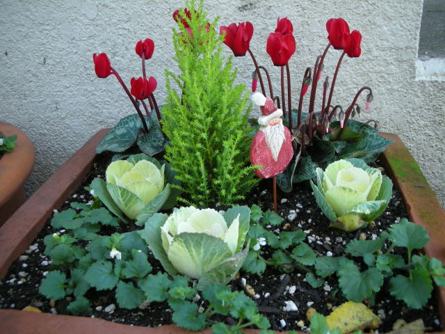 c0017311_10161068.jpg