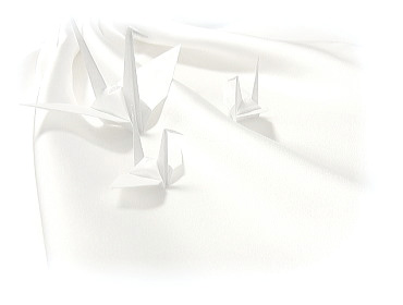 e0033713_204876.jpg