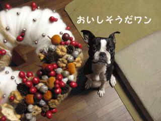 e0080117_2341833.gif