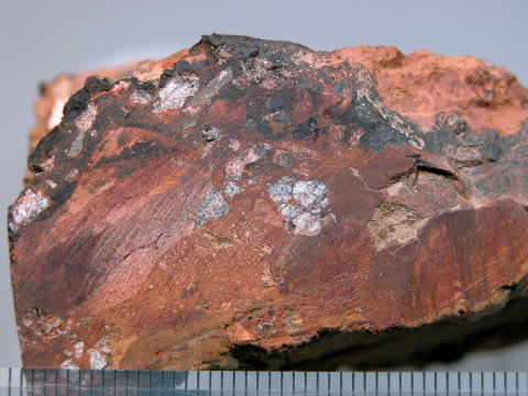 d0045626_236763.jpg