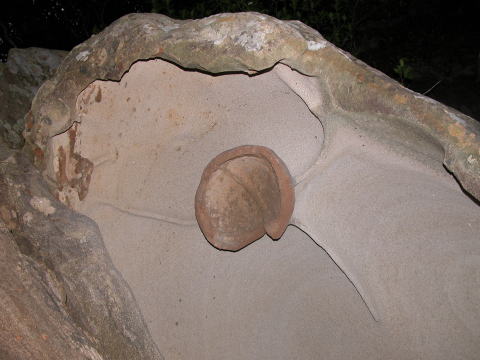 d0045626_9433393.jpg