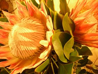 c0102228_21342119.jpg