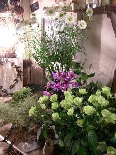 c0102228_21365396.jpg