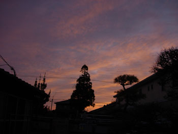 e0097534_1126767.jpg