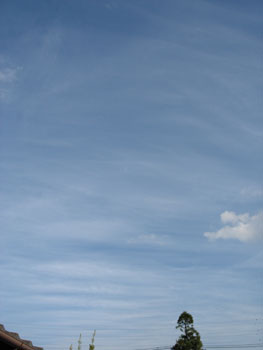 e0097534_11305532.jpg
