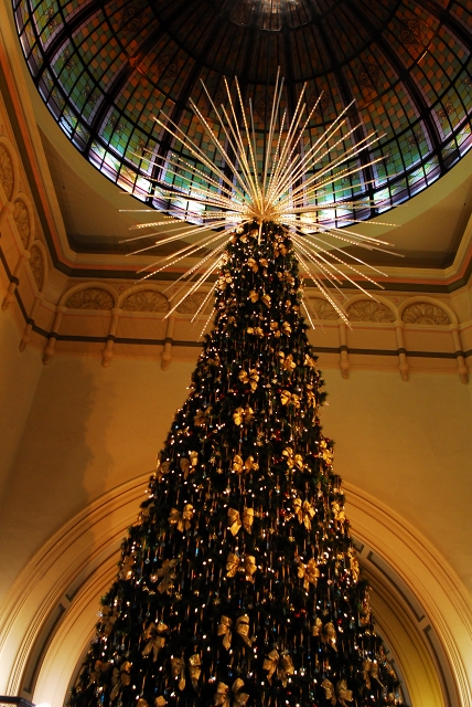 シドニーの巨大クリスマスツリー_f0050534_8561737.jpg