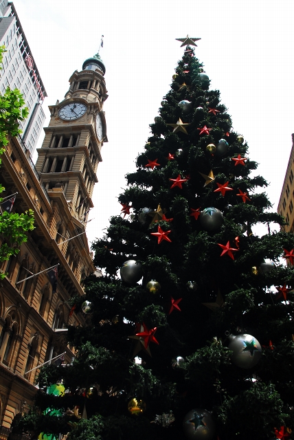 シドニーの巨大クリスマスツリー_f0050534_8593975.jpg