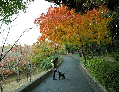 １１月２４日（金）秋ですね～～。_d0026745_774731.jpg