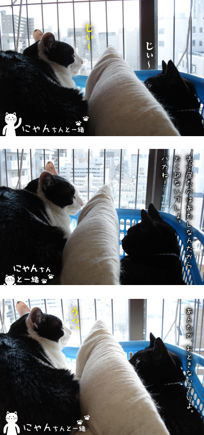不良小僧_e0031853_822777.jpg