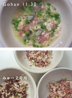 不良小僧_e0031853_8235027.jpg