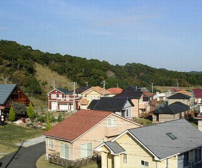 2006年12月1日(金)・・・頂き物_f0060461_14572083.jpg