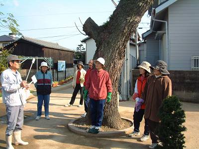 12月1日花クラブの活動状況_f0062462_20285956.jpg