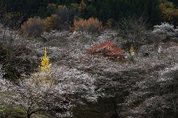 さて、己の信念を貫けるか！決戦のイブは近い・・・耐えるんだ！じろ～（呆）_f0045974_1835220.jpg