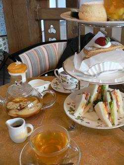 Afternoon tea _f0097877_21335121.jpg