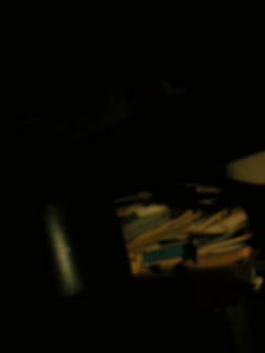 f0100480_611148.jpg