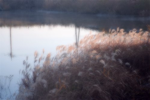 e0027083_92757.jpg
