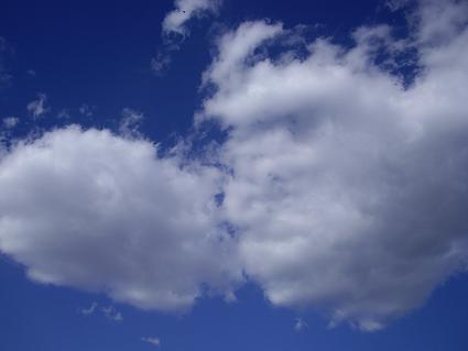 f0055087_232224.jpg