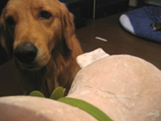 c0096393_102615.jpg