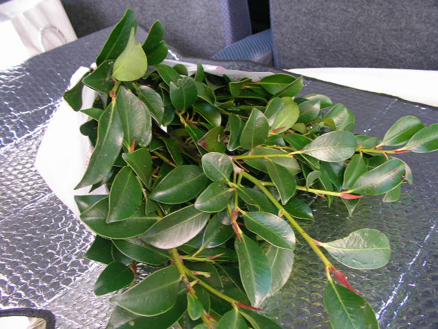 b0097394_23444951.jpg