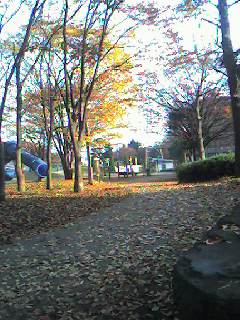 f0112996_82464.jpg