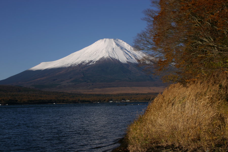 富士山と紅葉_b0029997_11552013.jpg