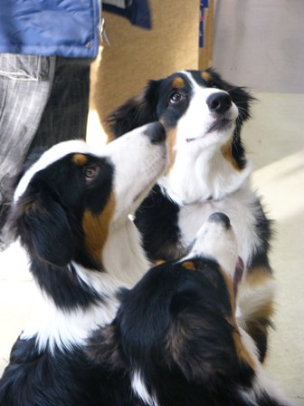 f0077697_11503155.jpg