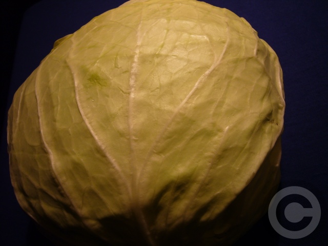 a0014299_23533215.jpg