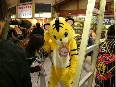 a0018200_1071245.jpg