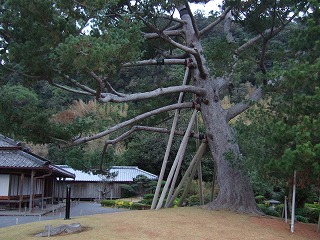 c0038611_18314546.jpg