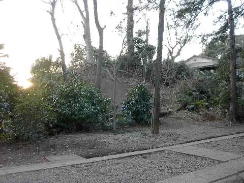 c0051112_22134416.jpg