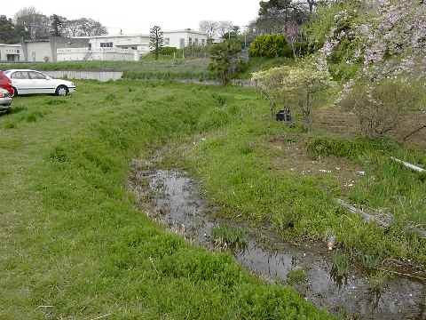 c0051112_22153672.jpg