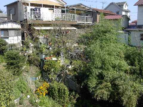 c0051112_22171131.jpg
