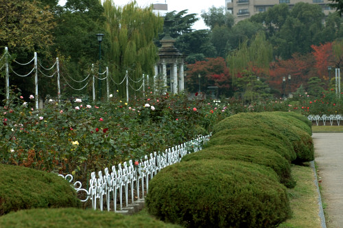 d0044314_23143485.jpg