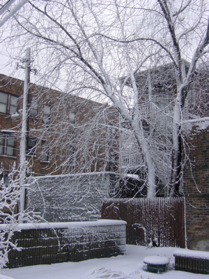 f0102814_6303120.jpg