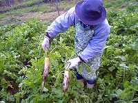 c0060919_18224221.jpg